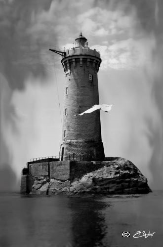 Phare du Four depuis la mer. Un goéland passe devant. Photo en noir et blanc. Format vertical. Porspoder- Finistère- Bretagne- France