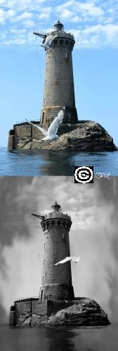 2 photos du phare du Four sur le même tableau, l'un en couleur en haut, l'autre dessous en noir et blanc. Des goélands passent. Porspoder- Finistère- Bretagne- France.