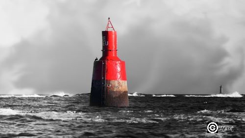 Feu le lieu sur mer en noir & blanc. Le phare du Four en arrière plan. Lanildut- Porspoder- Finistère- Bretagne- France