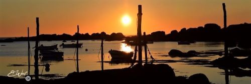 Coucher de soleil sur le petit port atypique de Mazou à Porspoder (Finistère) De petites embarcations sont arrimées à des troncs d'arbres enracinés dans le sable. Tons orangés. Finistère.Format panoramique. Dominante orange.