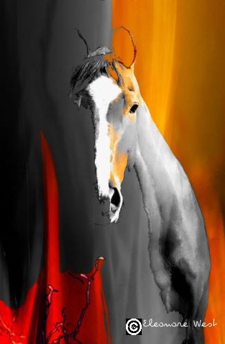 Portrait d'un cheval "Selle Français". Photo travaillée pour obtenir un tableau moderne et coloré de rouge et orange en fond derrière le sujet gris.