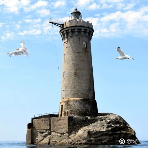 2 goélands tournent autour du phare du Four au large de Porspoder dans le Finistère. La mer est calme, le ciel bleu légèrement cotonneux.